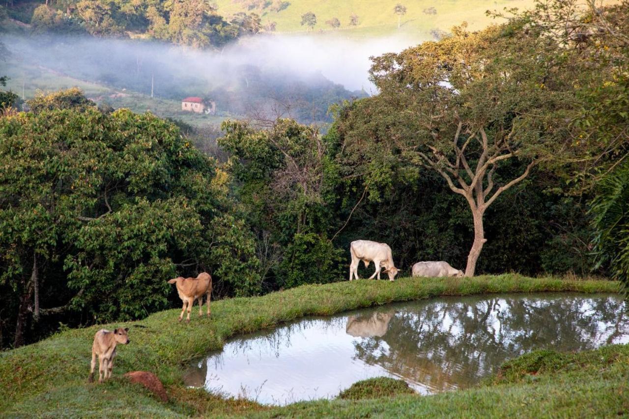 Chalés Pedacim du Céu Bueno Brandão Exterior foto
